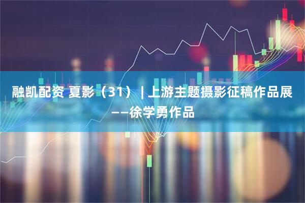 融凯配资 夏影（31） | 上游主题摄影征稿作品展——徐学勇作品