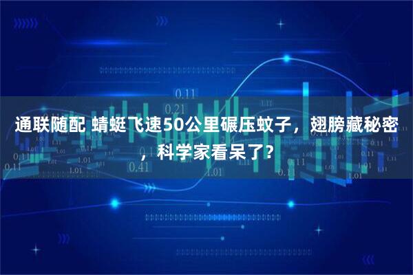 通联随配 蜻蜓飞速50公里碾压蚊子，翅膀藏秘密，科学家看呆了？