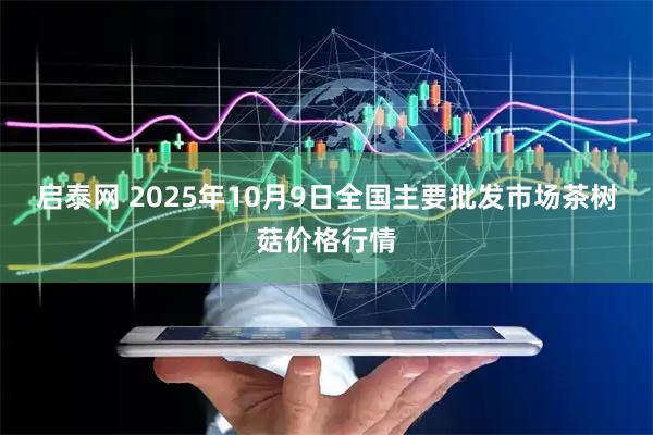 启泰网 2025年10月9日全国主要批发市场茶树菇价格行情
