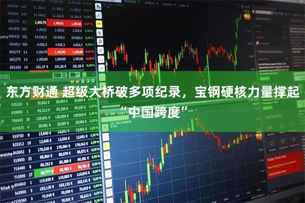 东方财通 超级大桥破多项纪录，宝钢硬核力量撑起“中国跨度”