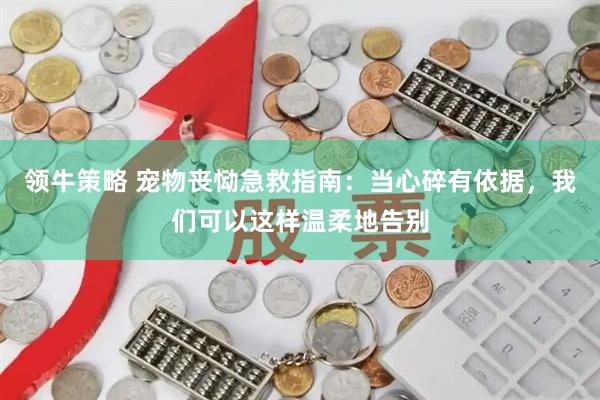 领牛策略 宠物丧恸急救指南：当心碎有依据，我们可以这样温柔地告别